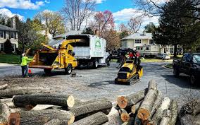 Lawn Renovation and Restoration in Sixteen Mile Stand, OH